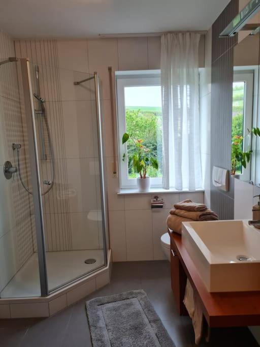 Ferienwohnung Panoramablick 바트메르겐하임 외부 사진