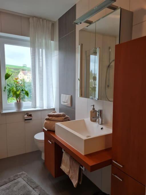 Ferienwohnung Panoramablick 바트메르겐하임 외부 사진